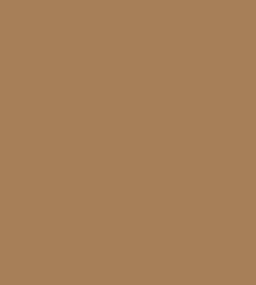 portfolio-placeholder yelloish